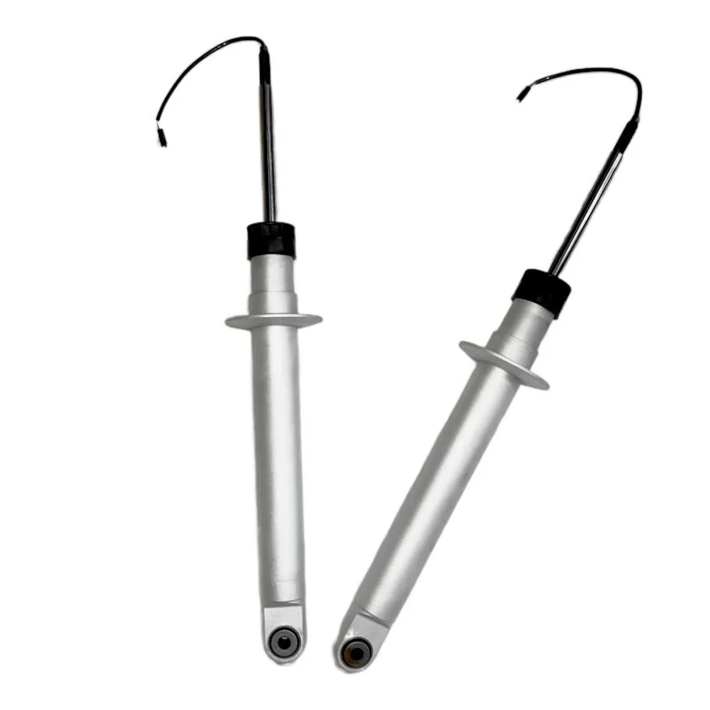 High Quality Best Price 670005455 Air Spring Air Suspension Shock Absorber China Auto Parts for Maserati Quattroporte