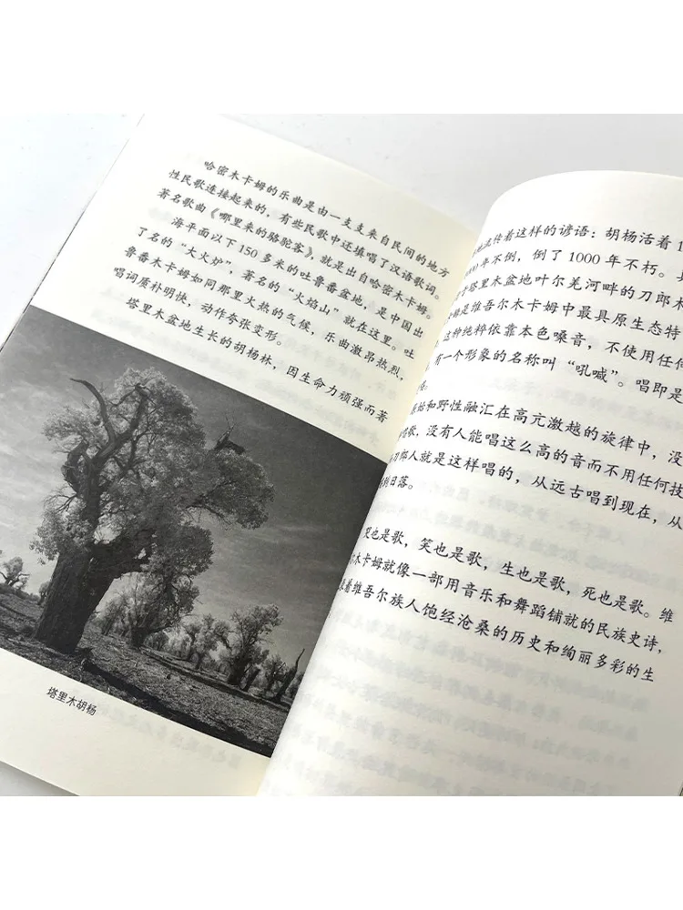 Book-Winshare Forbidden City