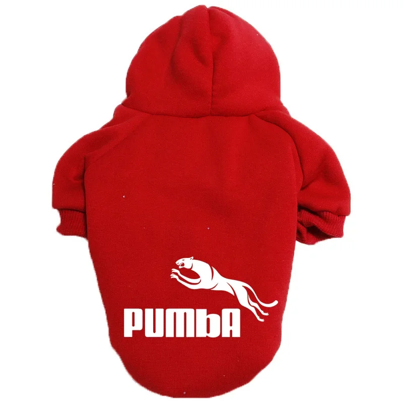 Stylish Pet Hoodie 4