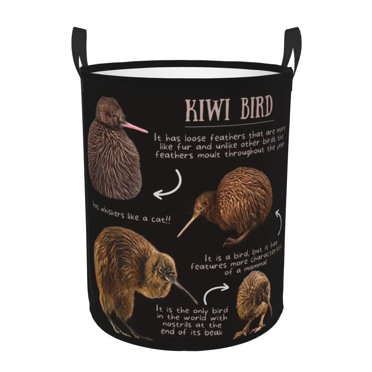 

Kiwi Bird Fun Facts Корзины для грязного белья Складная большая водонепроницаемая корзина для одежды и игрушек для дома Детская