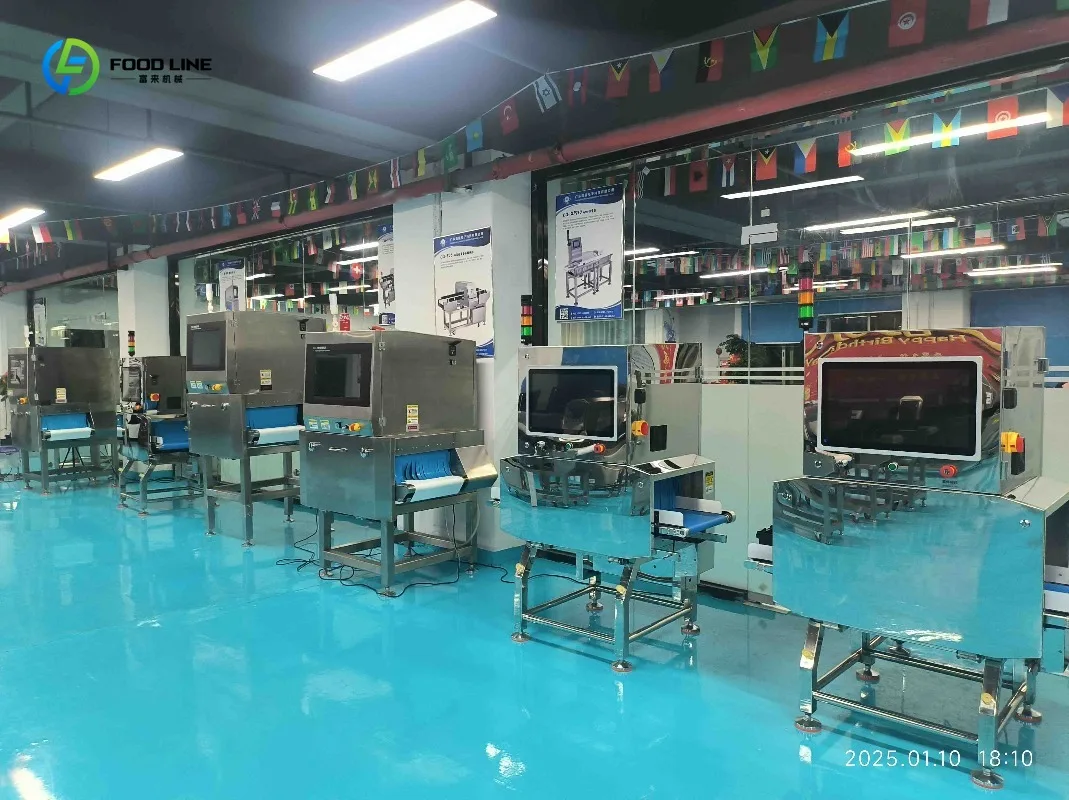 X Ray Foreign Body Inspection for Frozen Food Factory Production Line Commercial Custom
