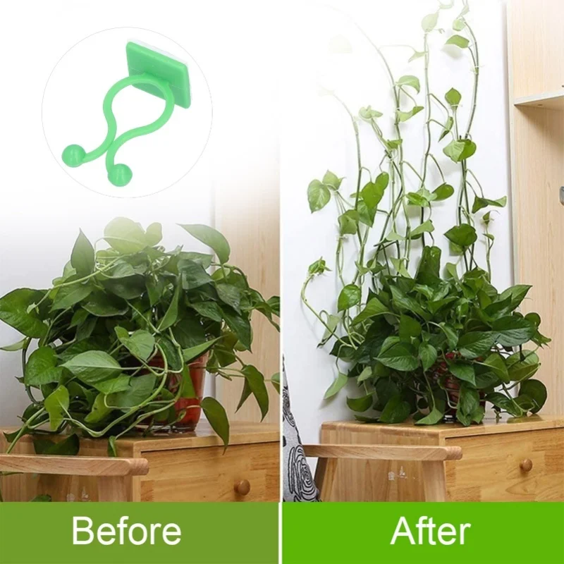 100 قطعة من تركيبات الحائط لتسلق النباتات، مشبك تثبيت كروم الحائط، مشبك تثبيت فرعي ذاتي اللصق، مشبك تأمين باللون الأخضر