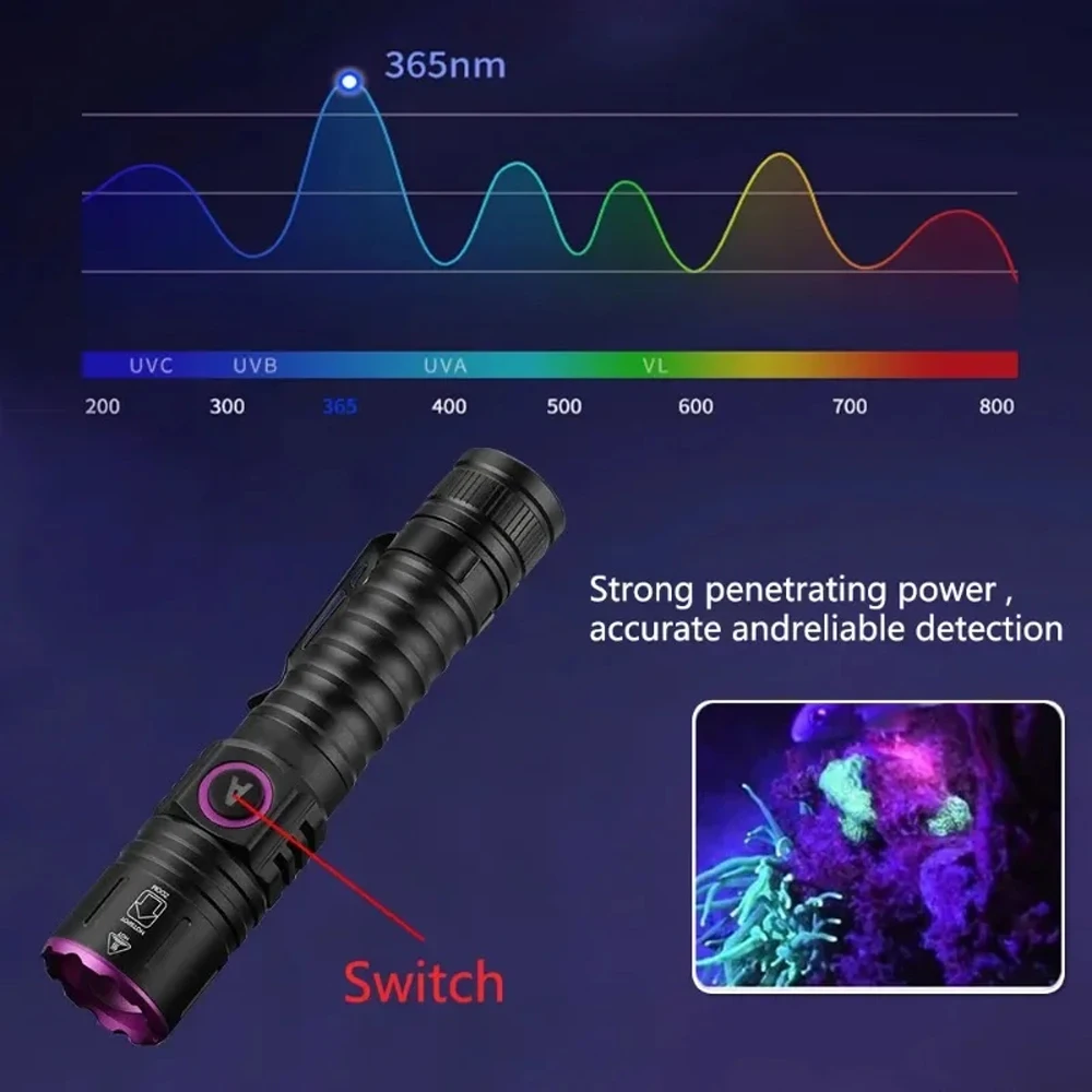 365/395nm UV Flashlight Zoom Type-C USB Rechargeable Black Light For Identification,Pet Urine Detection,Scorpion With Battery