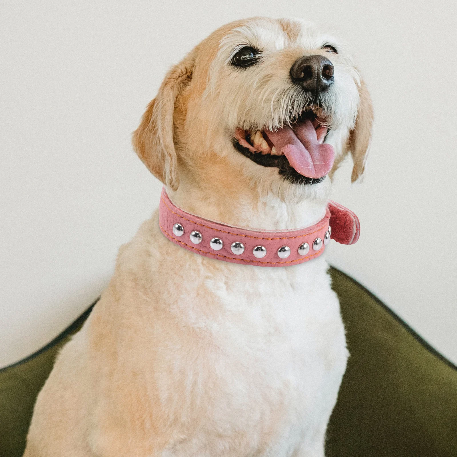 

Pet Thick Dog Necklace Accessory Heavy Duty Adjustable Comfortable Large Medium Small Holiday Stylish