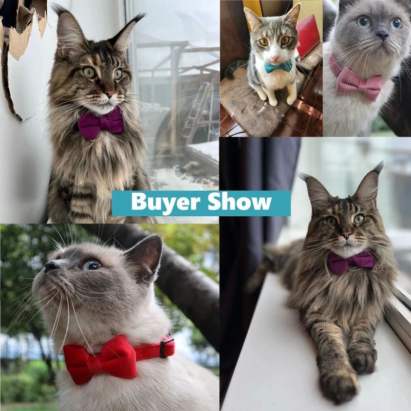 Velvet Bowknot Cat Collar Adjustable Safety Buckle Kitten Puppy Bow Tie Solid Color Cats Collar with Bell Pets Accessories