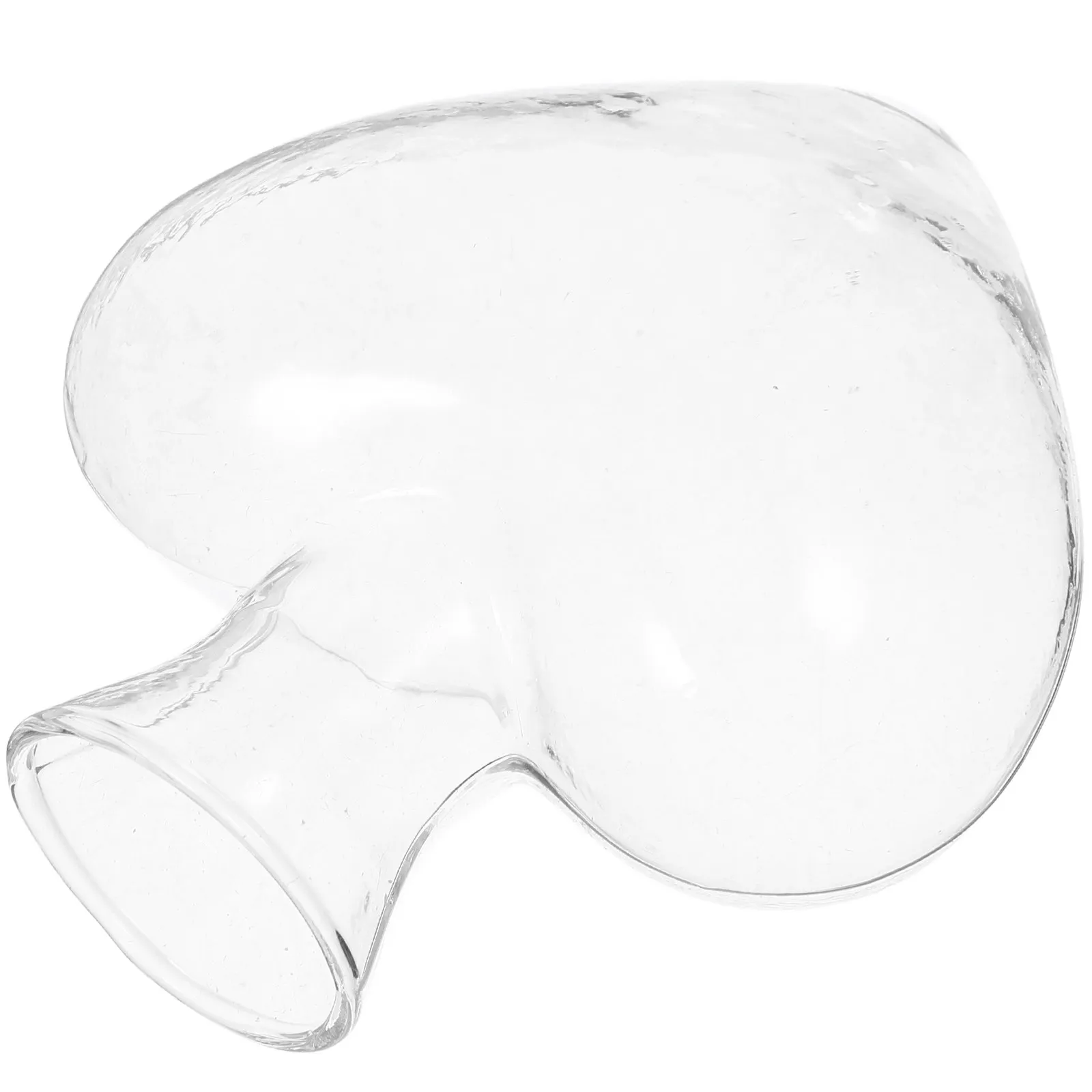 Transparent Glass Heart Shape Hydroponic Flower Vase Decorative Plant Planter for Flower Arrangement Glass Plant Bottle