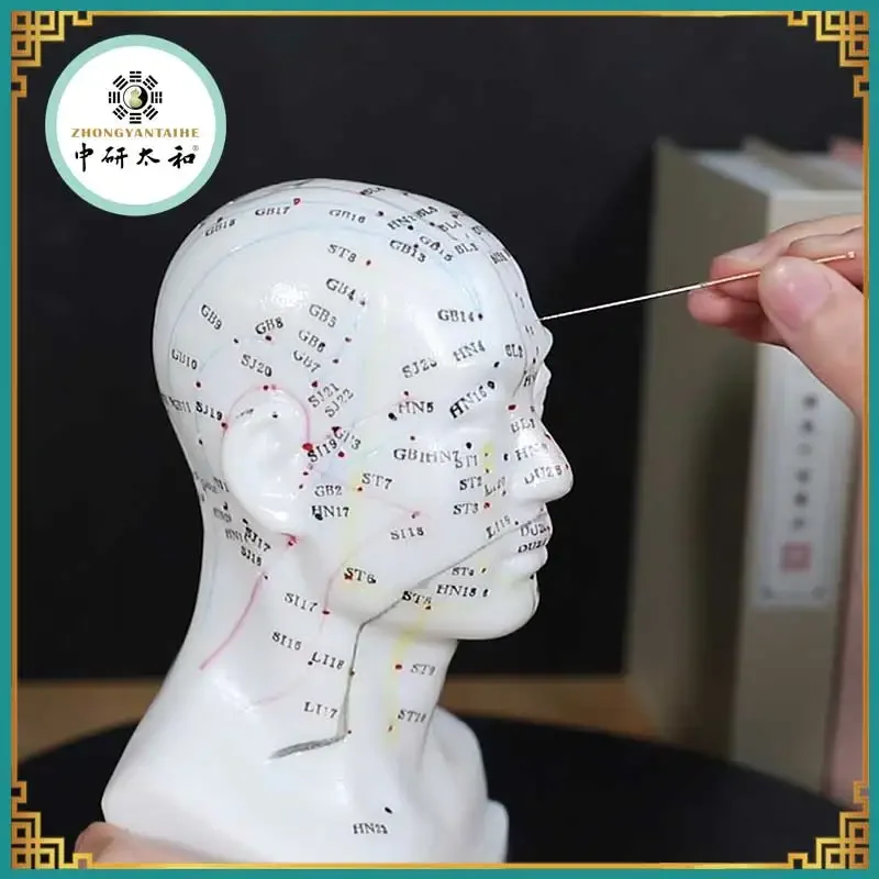 Zhongyan Taihe Needle Head Acupuncture Body Model English Acupuncture Needles Beginners Accurate Acupuncture Points 1PC Soft PVC