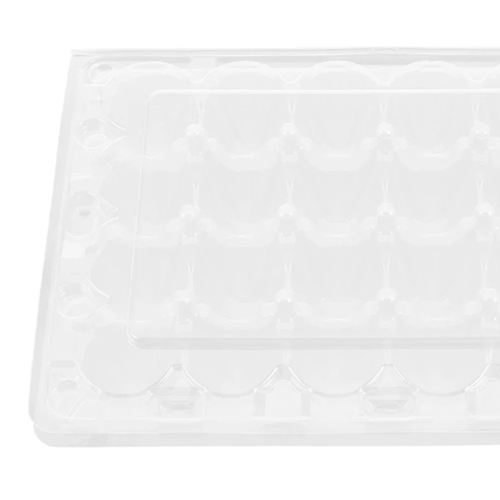 

Tray for Quail Egg Dish Plate Storage Case Holder Carton Holding Container Eggs