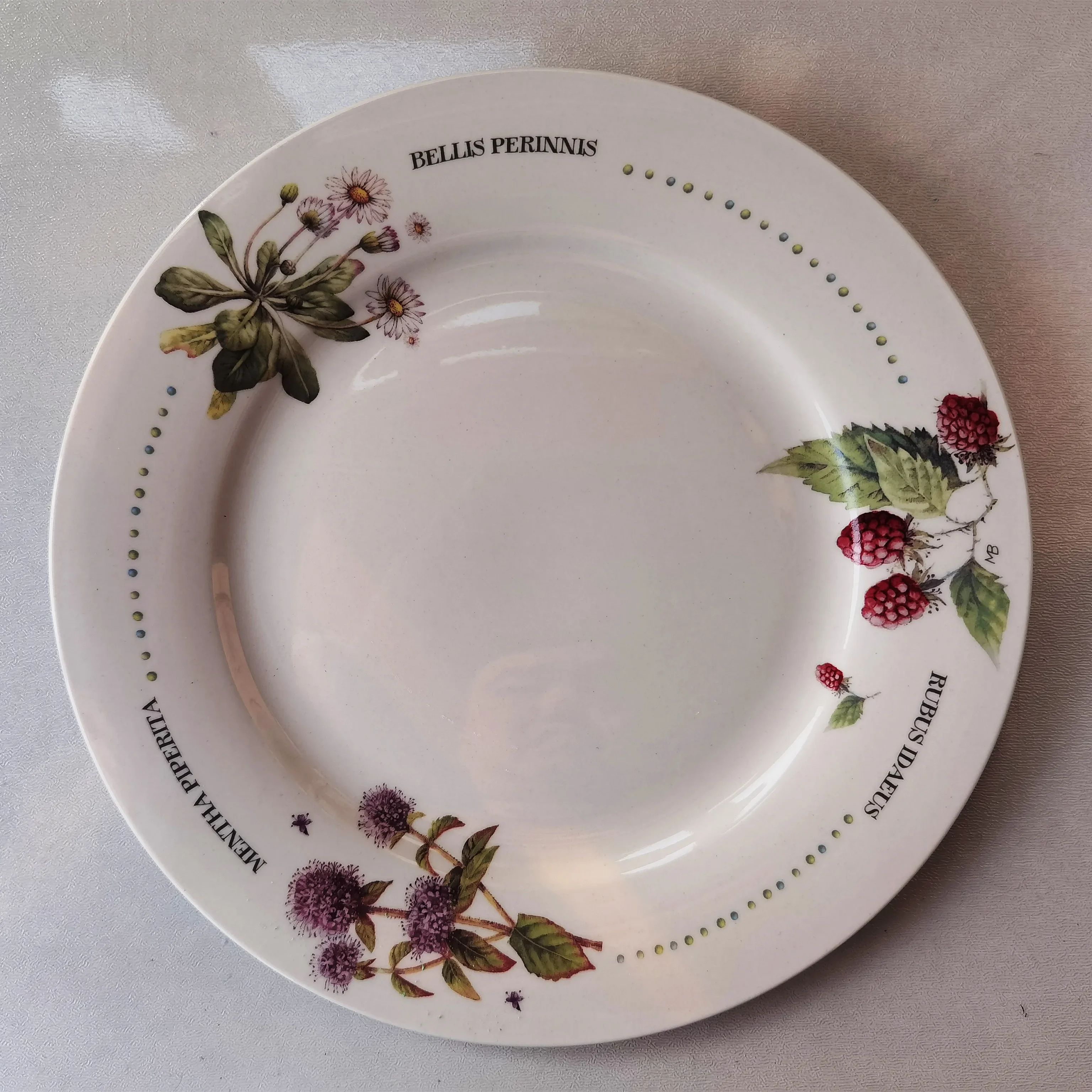 Genuine idyllic flower wild strawberry steak plate cold plate size bowl soup plate