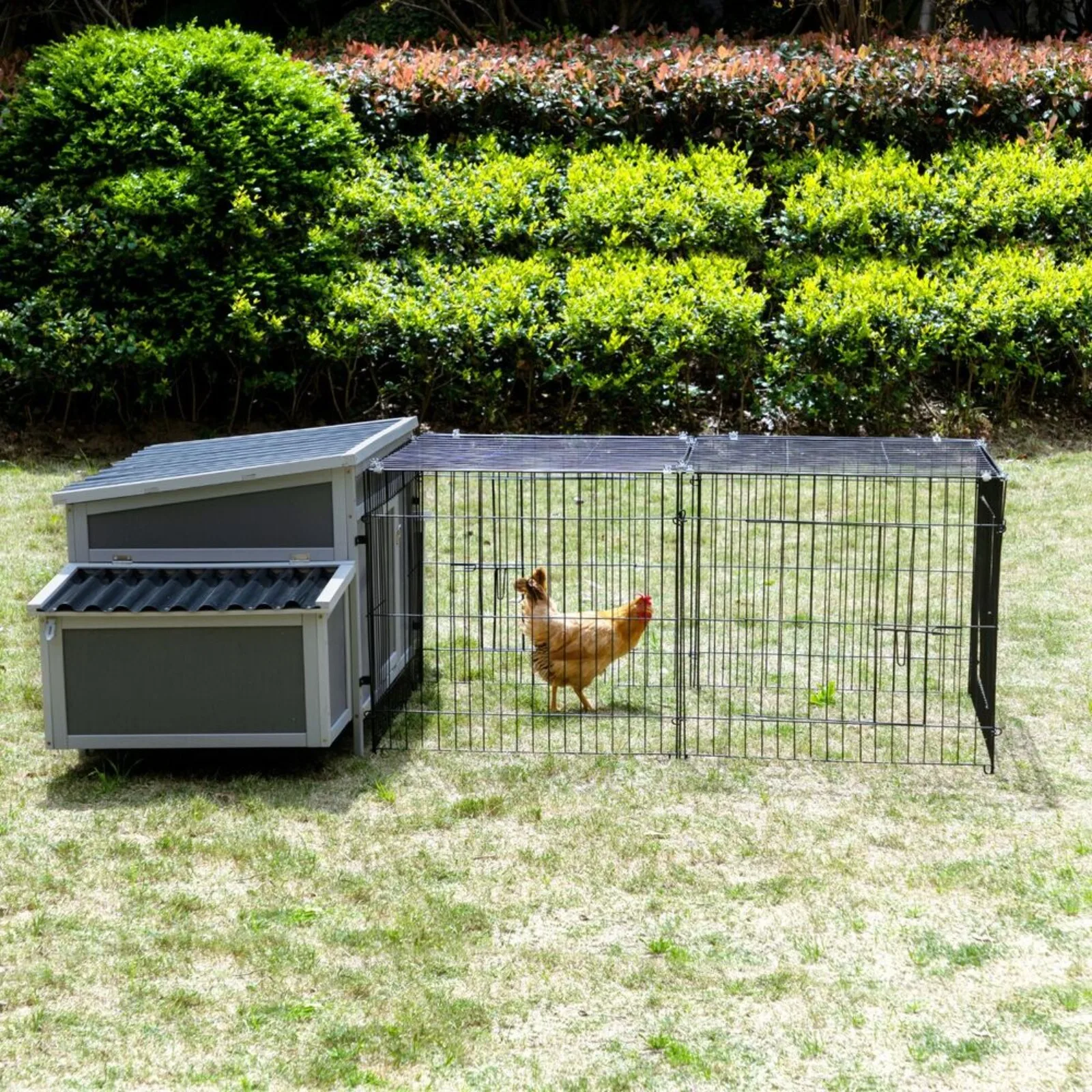 US Wooden Chicken Coop Wire Cage Outdoor Chicken House with 2 Nesting Boxs