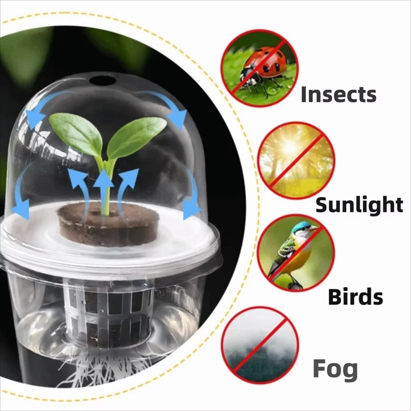 5pcs Visible Clear Plants Germination Cup Transparent Plastic Nursery Growing Box Indoor Garden Greenhouse Seed Starter Tray
