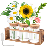 Hydroponic Plants Container Wood Frame Transparent Glass Vase Flower Pot Home Tabletop Bonsai Home Indoor Decorations Crafts