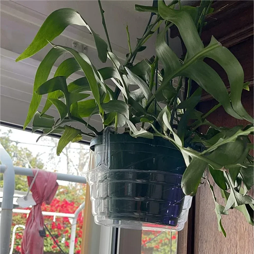 Transparent Plastic Hanging Basket Flowerpot Drip Tray Multi-Style Circular Bottom Support Garden Cleaning Supplies