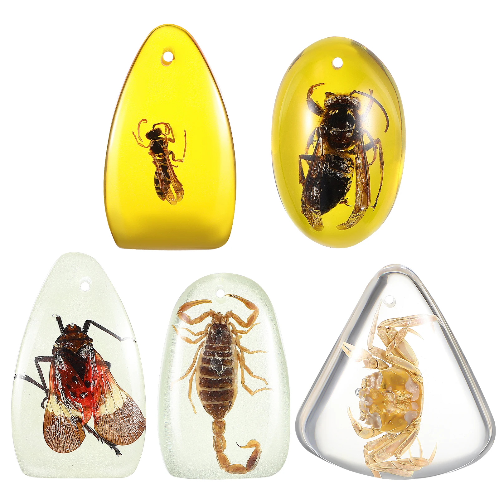 

5 pcs Amber Pendant Necklace Jewelry Resin Insects Charm Stone DIY Bracelets Making Supplies Collection Gifts