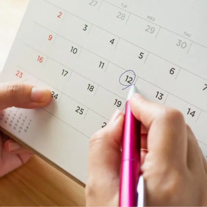 2026 Lịch tường không gian & món tráng miệng cho nhà, văn phòng, lớp học & quà tặng (1 cuốn sách) D5QC