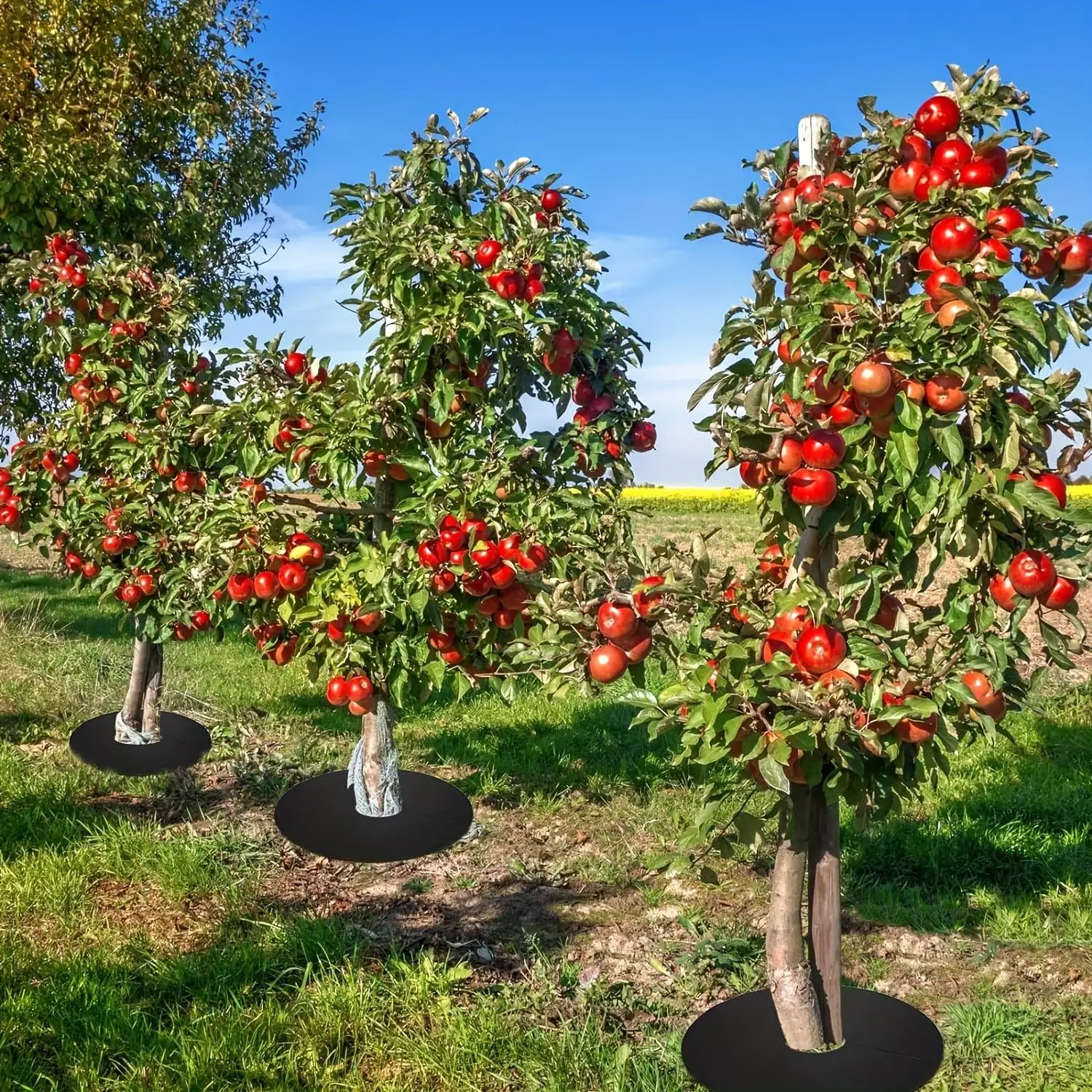 

5 Pcs/set Black Tree Protection Mats Weed Barrier Grass Pads Easy To Install Durable And Reusable Garden Maintenance Supplies