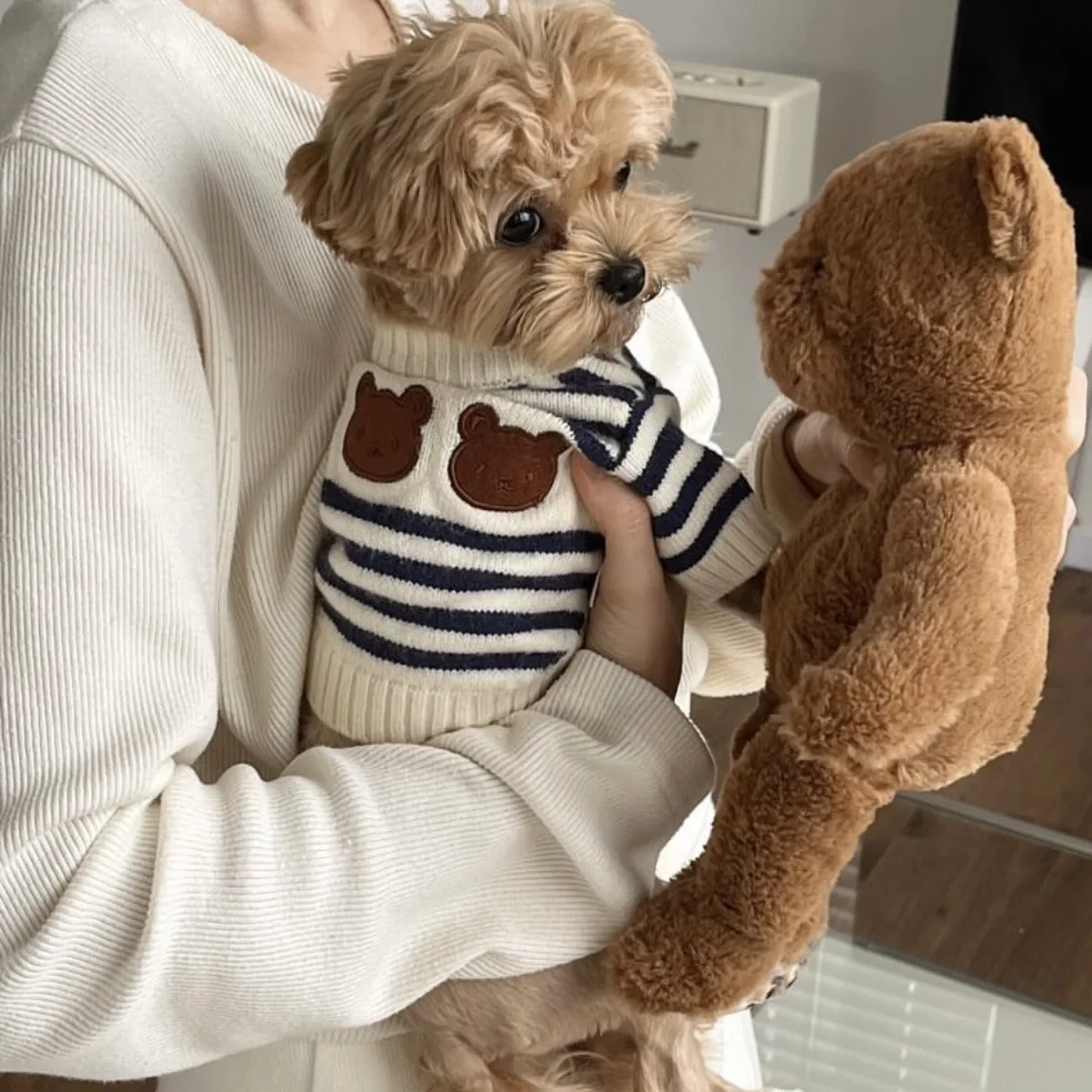 Pet Spring and Autumn Striped Sweater Warm Pet Knitted Sweater Autumn Winter Thickened Small Medium Sized Dog Cat Teddy Coat