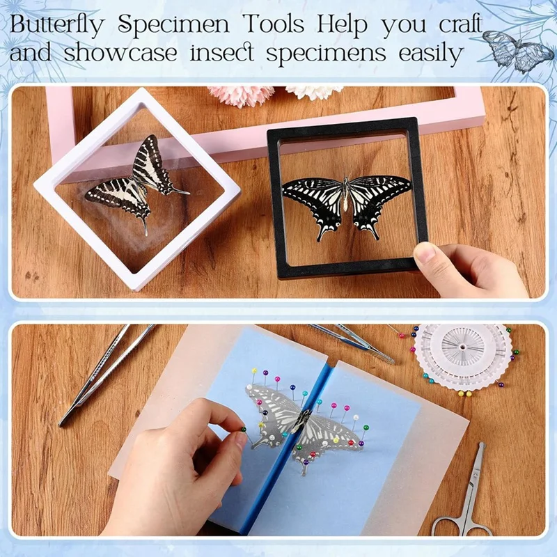 Insect Specimen Tool Kit Butterfly Specimen For Classroom Teaching Pin Wing Press Paper Tweezers Insect Display Box Durable