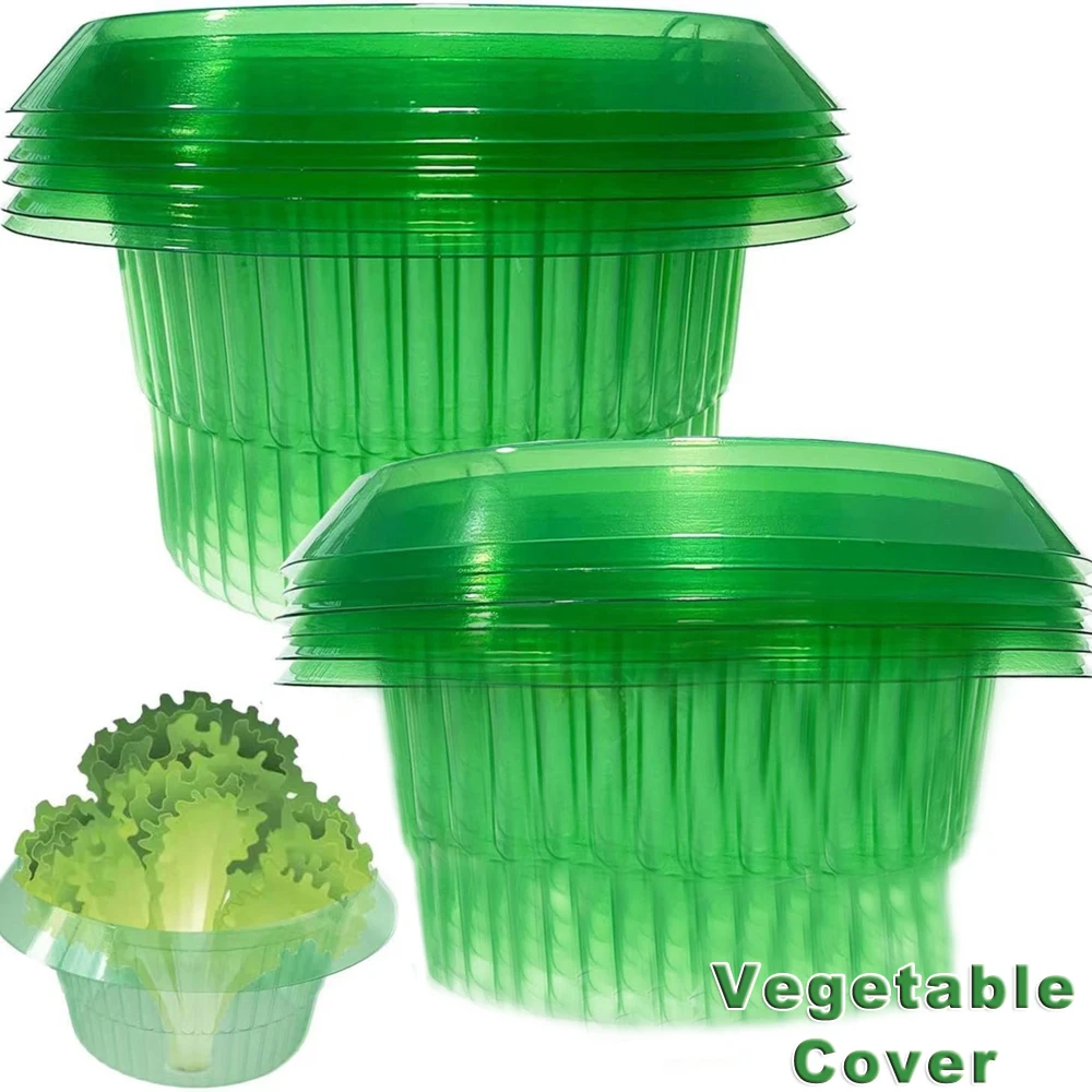 Organic Vegetable Seedling Cover Protects Fruit Vegetable Pest Control Plastic Snail Trap