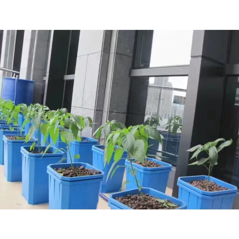 2025년 농업용 심층수경재배 버킷 수경재배 버킷