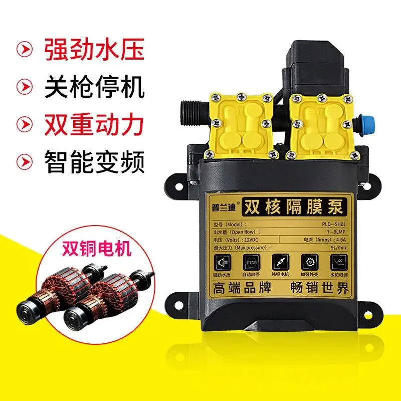 Dual Core High Voltage 12v Car Wash Machine High Pressure Car Wash Water Gun Household Car Wash God Car Wash Pump