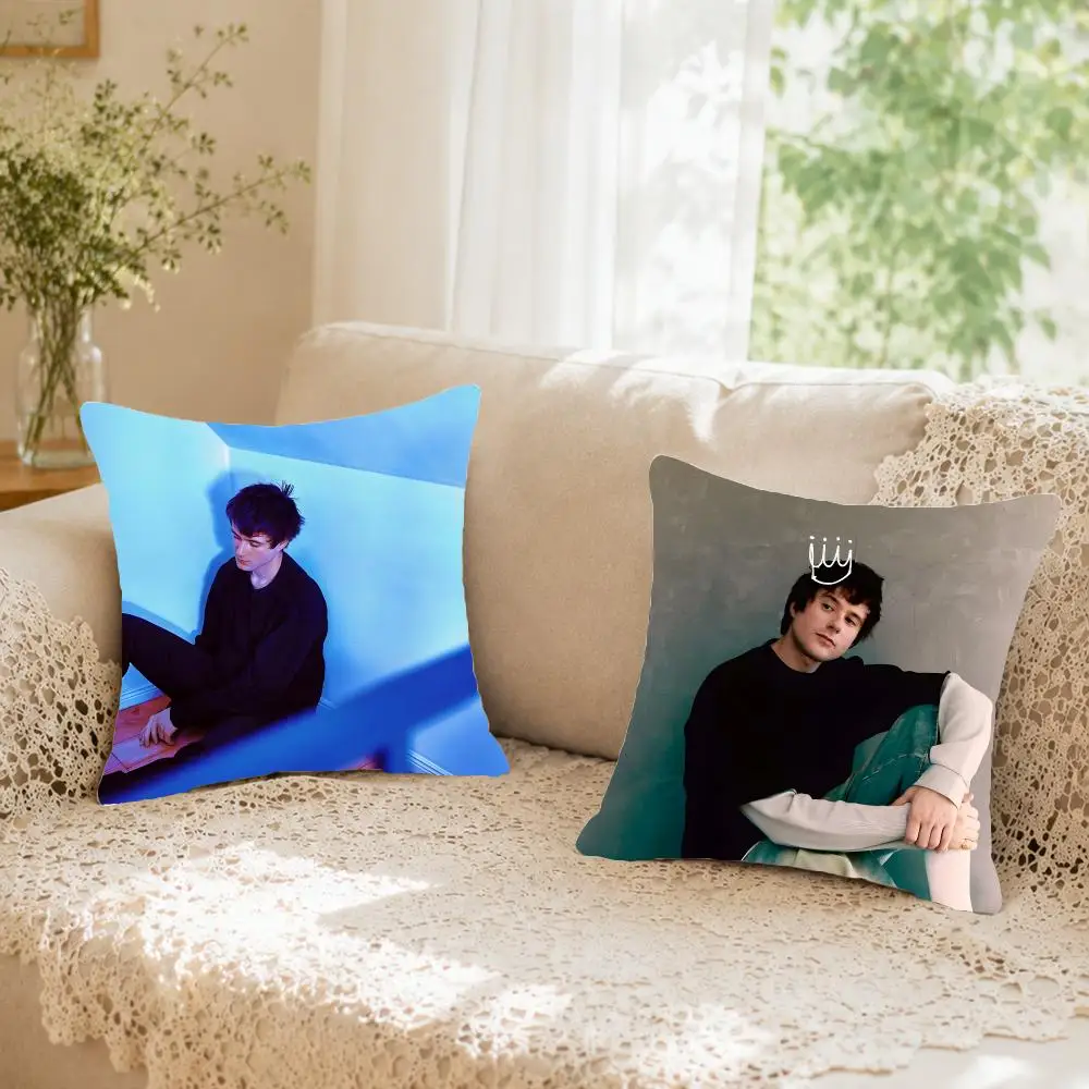 Gentle Singer A-Alec Benjamin Cushion Cover Faux fur decorative Dark academia style Cat scratching post Rustic Spa pillow cover