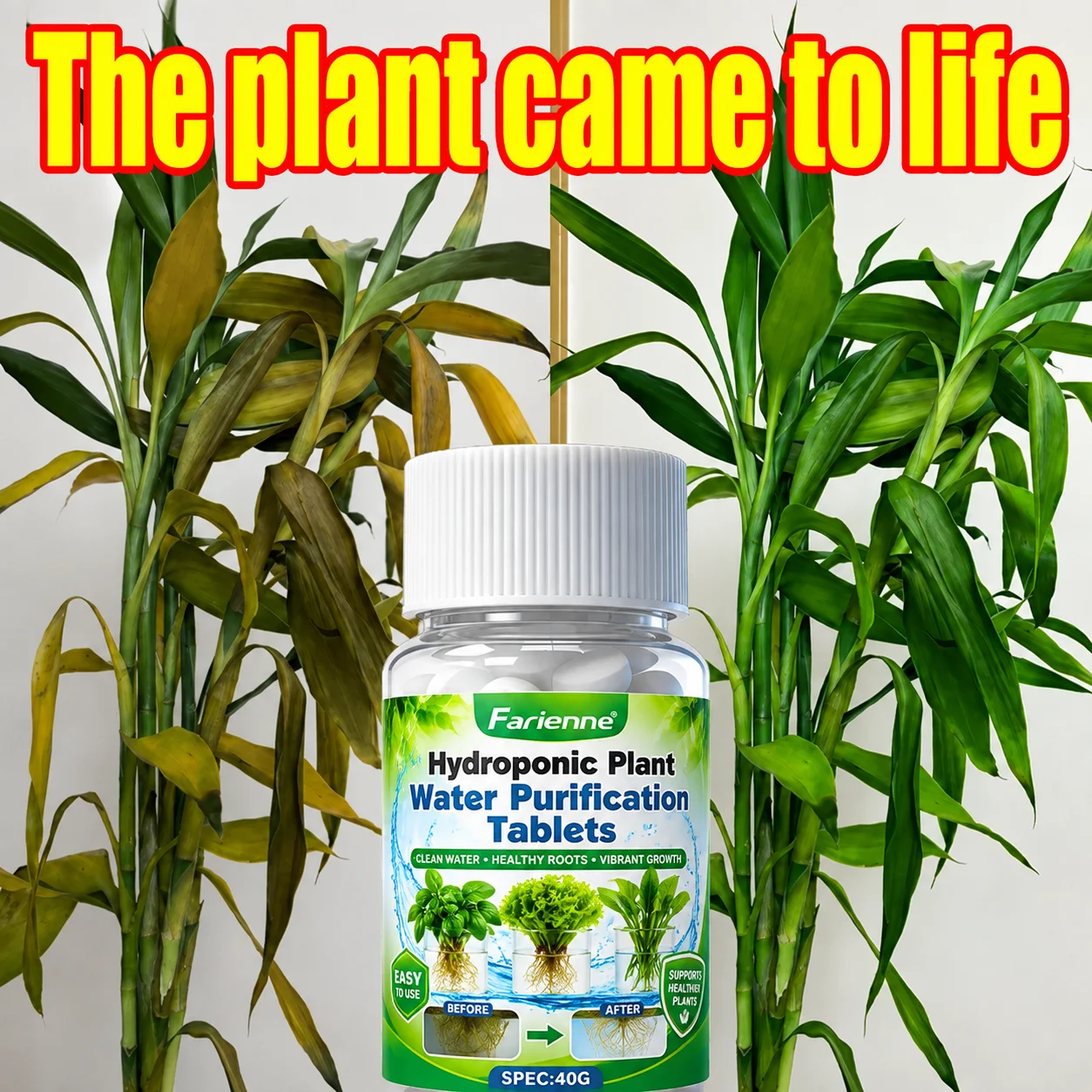 40G Hydroponics Root Maintenance Tablets Water Purifier Anti Root Rot Root Enhancer for Lucky Bamboo Orchid Indoor Water Plants