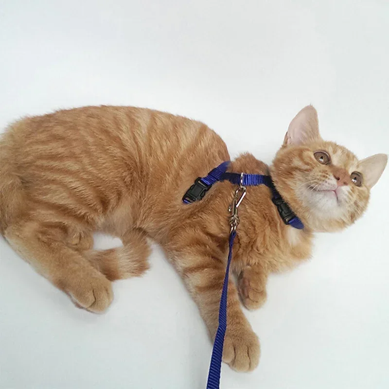 New Cat Collar Harness Leash Adjustable Nylon Pet Traction Cat Kitten Halter Collar Puppy Dog Cat Product Small Pet Harness Belt