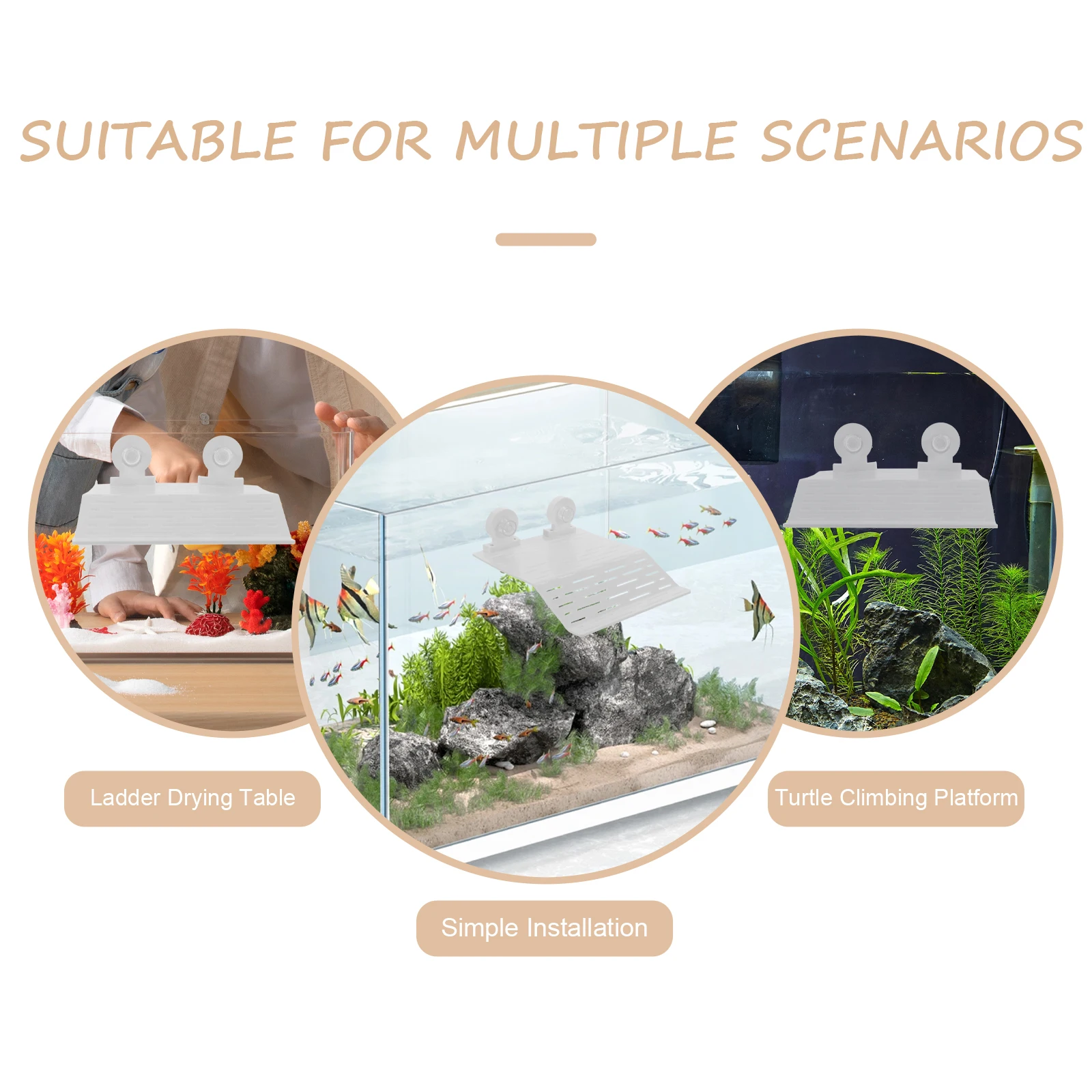 

Stable Plastic For Aquatic Turtles Reptile Basking Platform Tortoise Habitat Accessories Ramp Floating Terrace Turtle Tank