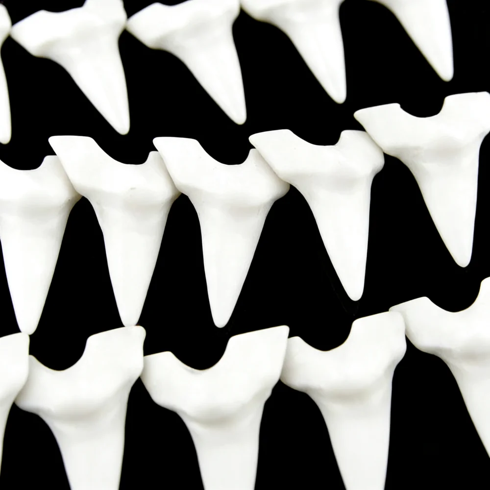 5/10pcs Resin Carved Faux Shark Tooth Charms Pendants for Jewelry decoration DIY Jewelry findings