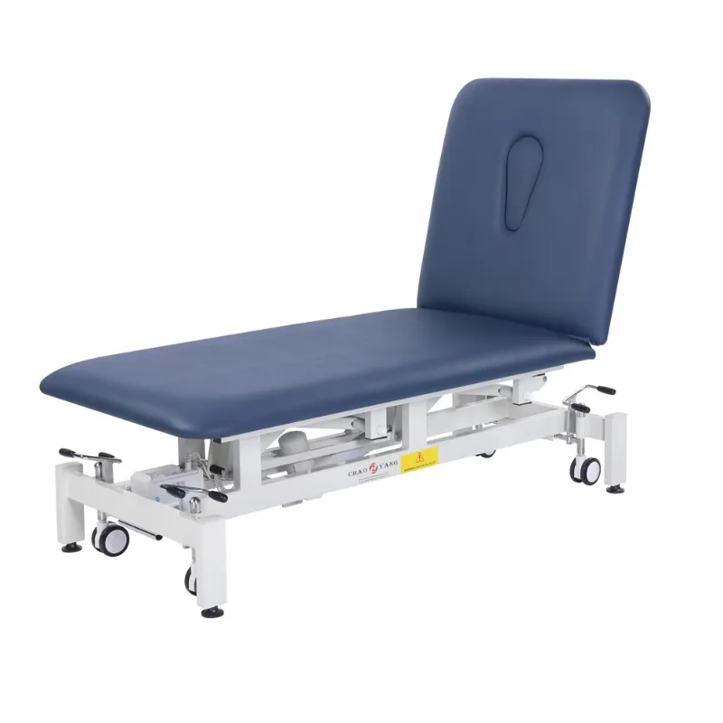 

Comfortable Clinic Bed Acupuncture Massage and Physical Therapy Couch Electric Hi-Lo Treatment Table