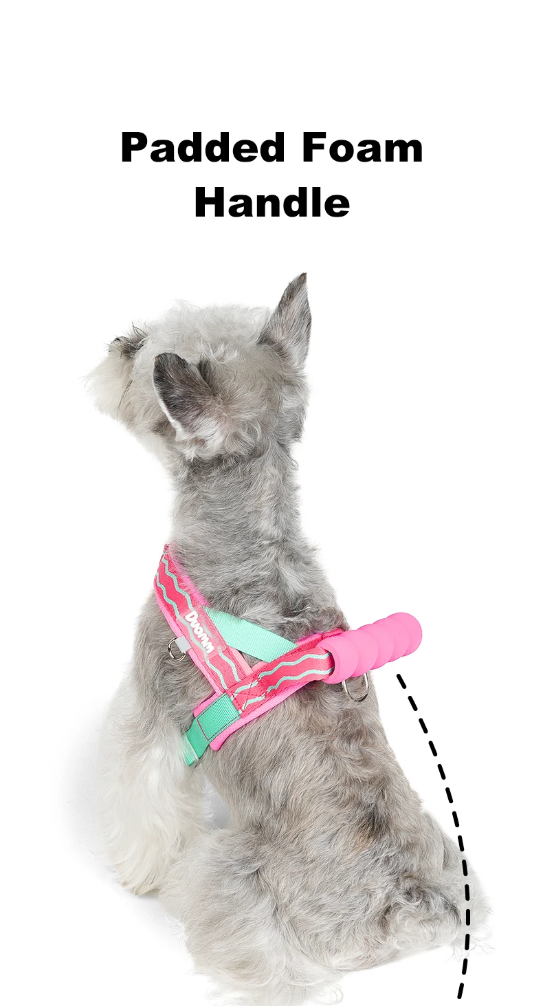 Comfortable Padded Dog Harness For Walking And Lifting Outdoor_voghion.com