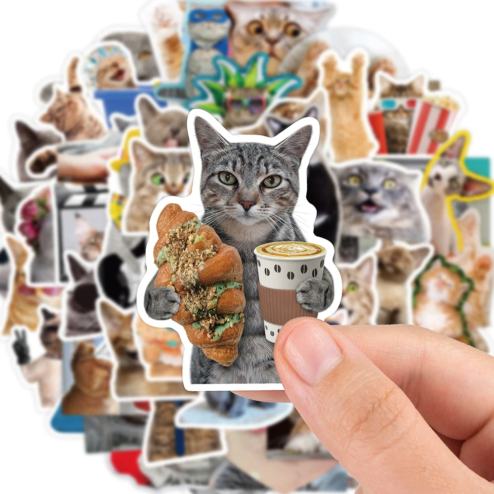 10/30/65pcs Funny Cute Cat Meme Stickers Kid Toy Scrapbook Notebook Motorcycle Laptop Car Phone Guitar Waterproof Sticker Decals