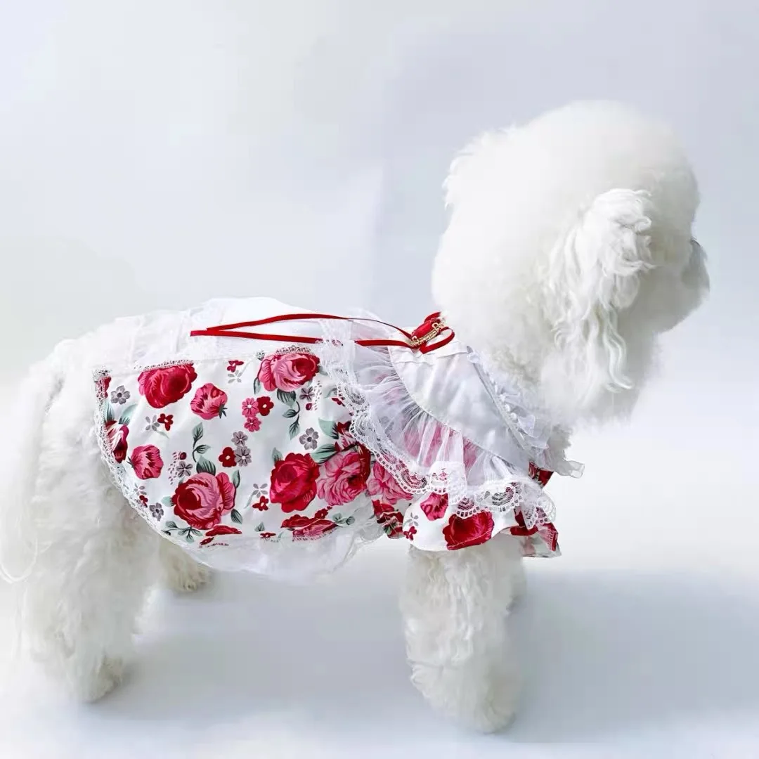 Spring and Summer Internet Celebrities Pet Dogs Cat Clothes Dresses Rose Edged Lace Dresses Teddy Dog Clothes