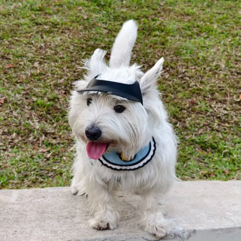 

Pet Supplies With Ear Holes Dog Hat Adjustable Stylish Doggy Visor Comfortable Doggie Helmets Cat