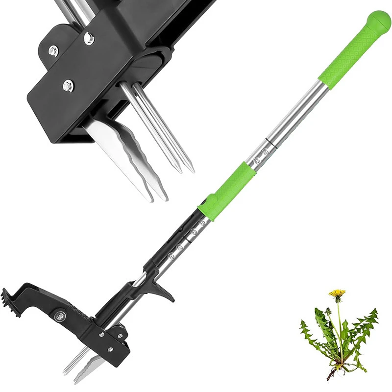 أداة إزالة جذور الأعشاب مع 4 مخالب ودواسة قدم للحديقة أداة إزالة الأعشاب اليدوية المحمولة للعشب في الهواء الطلق