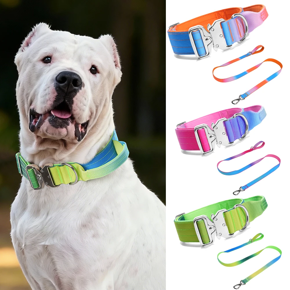 Collar y Correa de Entrenamiento para Perros Medianos a Grandes, para Dogo Argentino, Doberman Pinscher, Accesorios para Mascotas de Exterior
