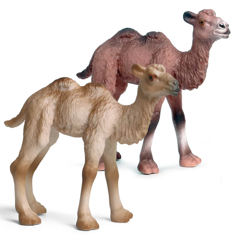 Children's cognition solid simulation Wildlife World desert camel Mongolian camel hand-made model toy decoration