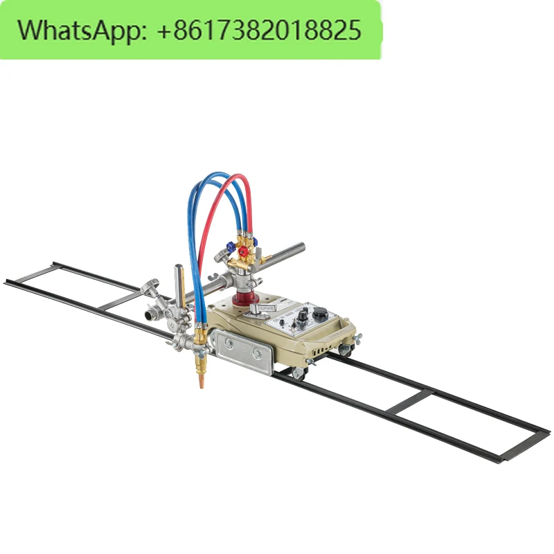 Warwick CG1-30/100 …