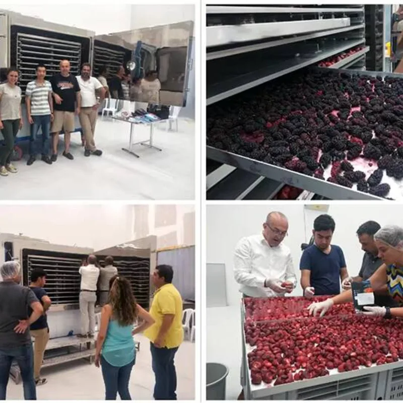 High Quality Commercial Drying Hine Sublimation Condensation Vacuum Lyophilizer Price Freeze Dryer