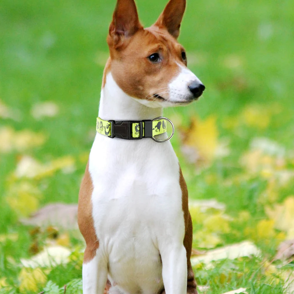 جميعًا لطوق الكلاب مع ملحقات الكلاب المطبوعة على شكل حيوانات للحيوانات الأليفة والجرو وإكسسوارات الحيوانات الأليفة وأطواق الكلاب #3