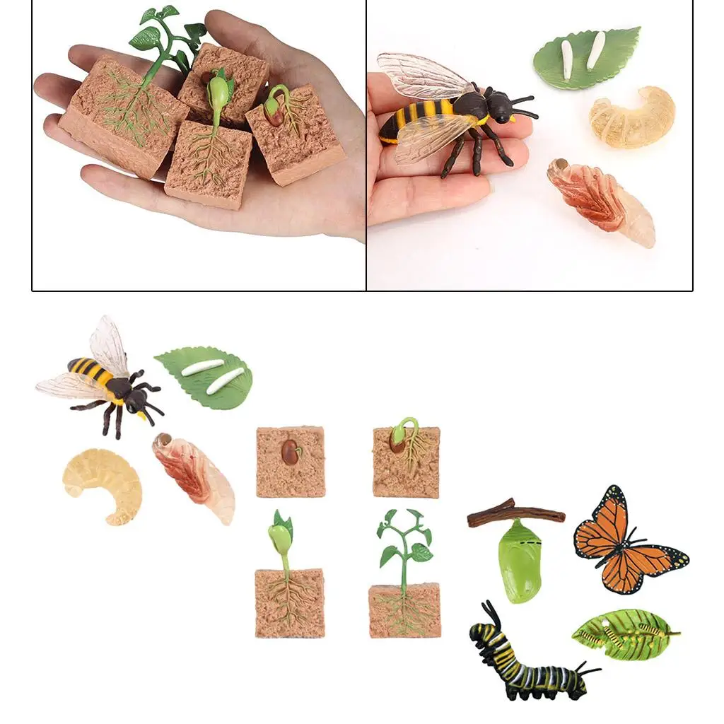 Figuras de proceso de crecimiento de animales y plantas para niños, modelos de juguete, juego de aprendizaje