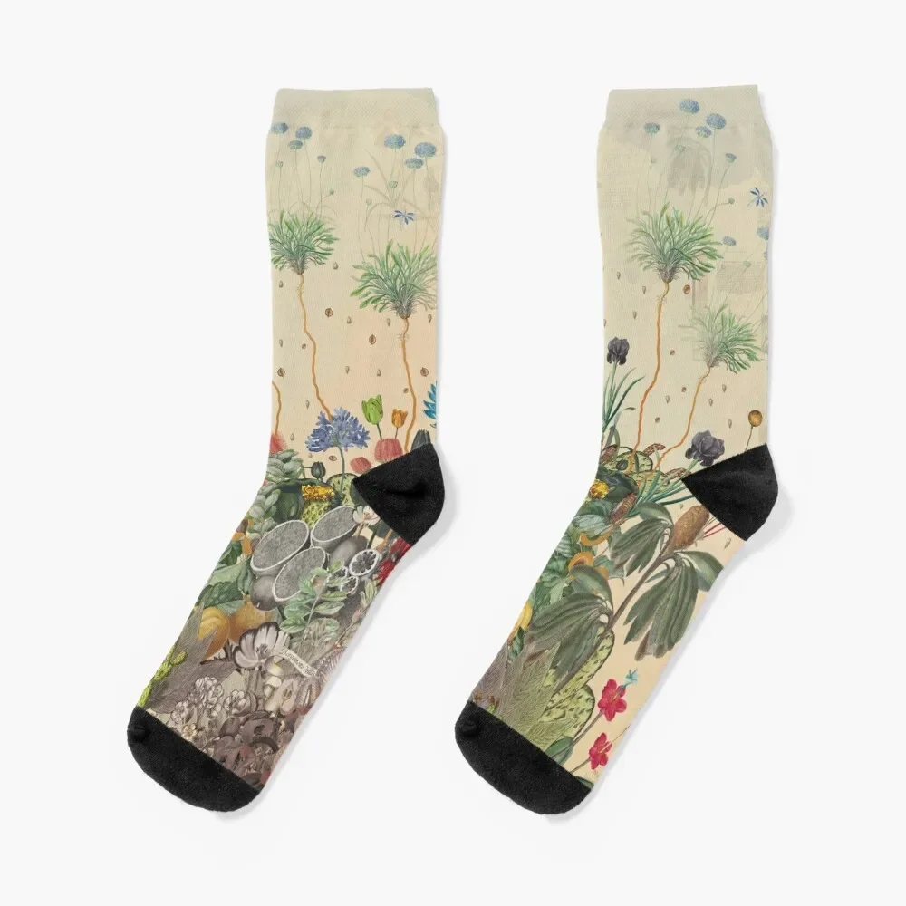 FANTASTIC BOTANICAL Socks cartoon short Non-slip Girl'S Socks Men's