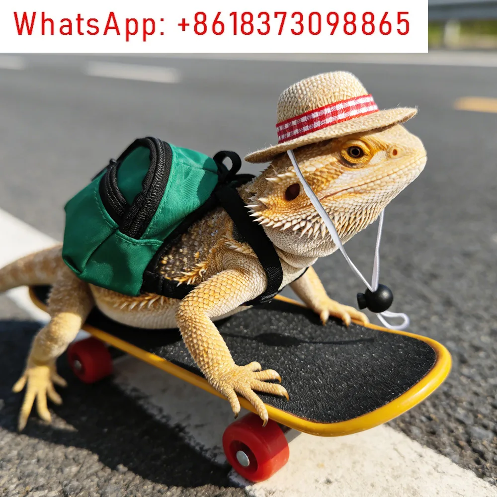 Little Pet Toy 3-Piece Set: Lizard, Hamster, Parrot, Turtle, Reptile, Skateboard, School Bag, Hat, Cool Set