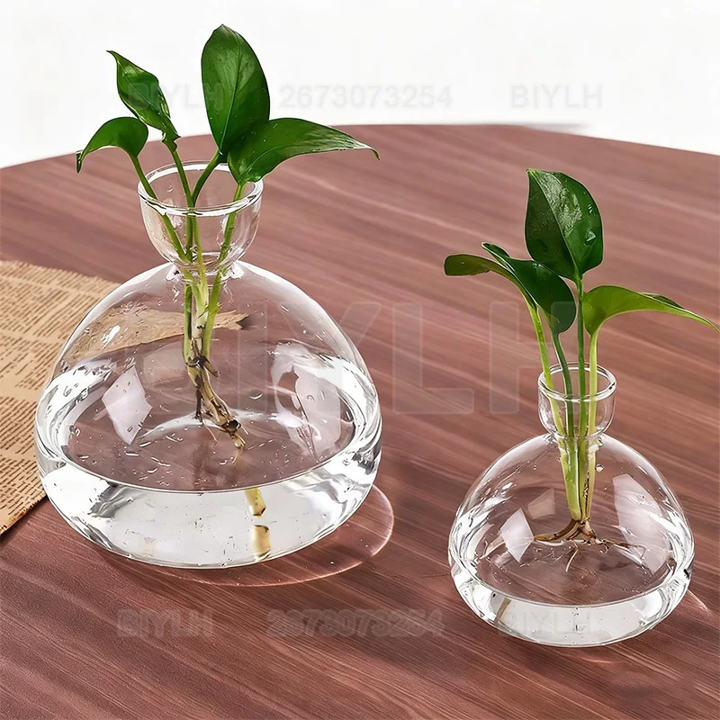 Avocado Seedling Growing Bottle Glass Vase for Home Decor Hydroponic Flower Arrangement Plant Growing Glass Seedling Accessories