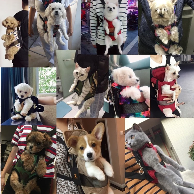 Transportín de malla para mascotas, mochila ajustable transpirable para productos de viaje al aire libre, bolsas para perros pequeños, gatos,