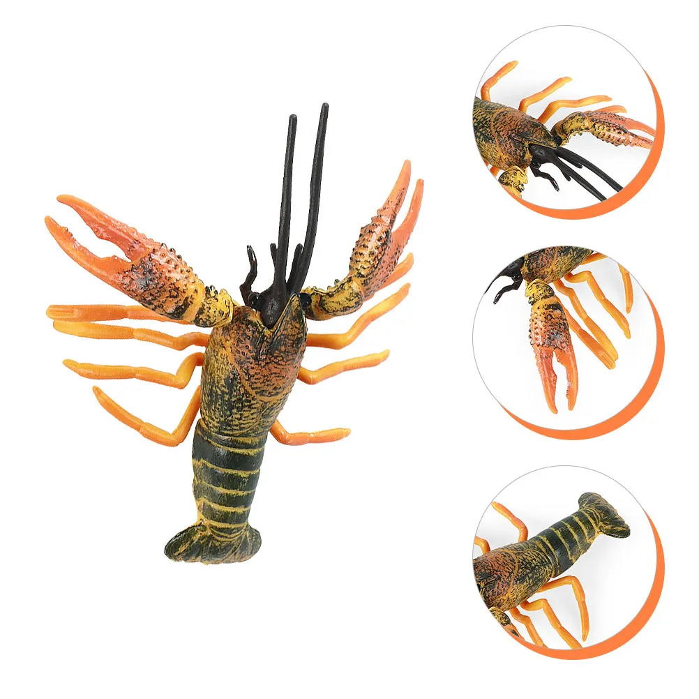

Simulation Lobster Creative Marine Animal Educational Science Cognitive Interactive Kids Desktop Decoration Ocean Creature