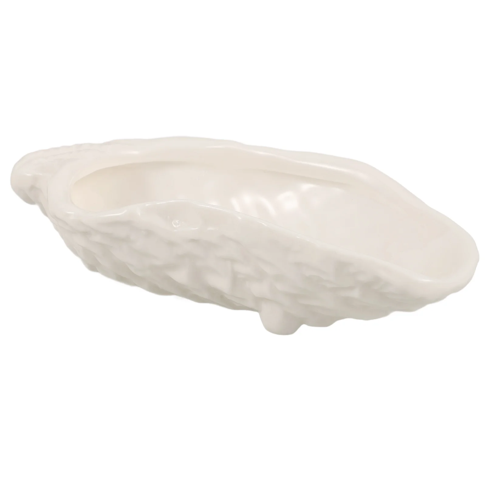 

Oyster Shell Dish Jewelry Tray Caviar Dipping Plate Ceramic Dishes Ceramics Serving Sushi Dessert