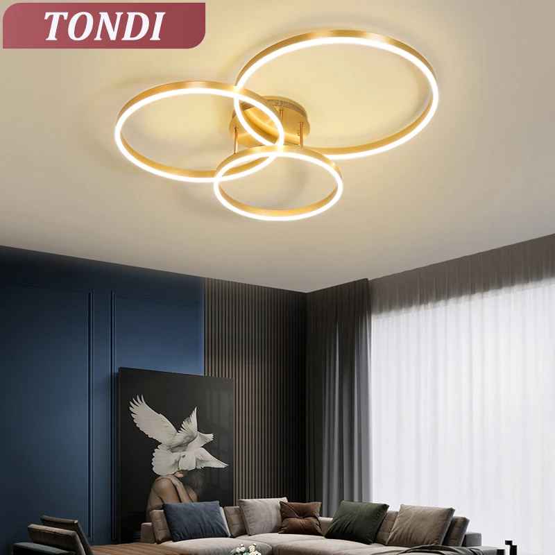 LED Ring Chandelier With Remote Control Ceiling Lamp Living Room Bedroom Dining Room Kitchen Ceiling Chandelier Decoration Home