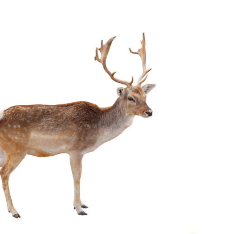 

4pcs RC Car CNC Aluminum Alloy Wheel Hub Rim for AXIAL SCX6 1:6 Scale Remote Control Crawler Car Accessories Parts